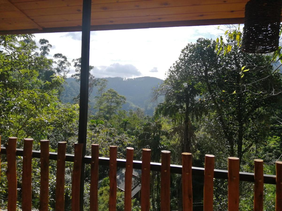 Ella Wood Cabin Εξωτερικό φωτογραφία